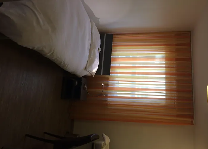 Hotel Du Commerce Basilea