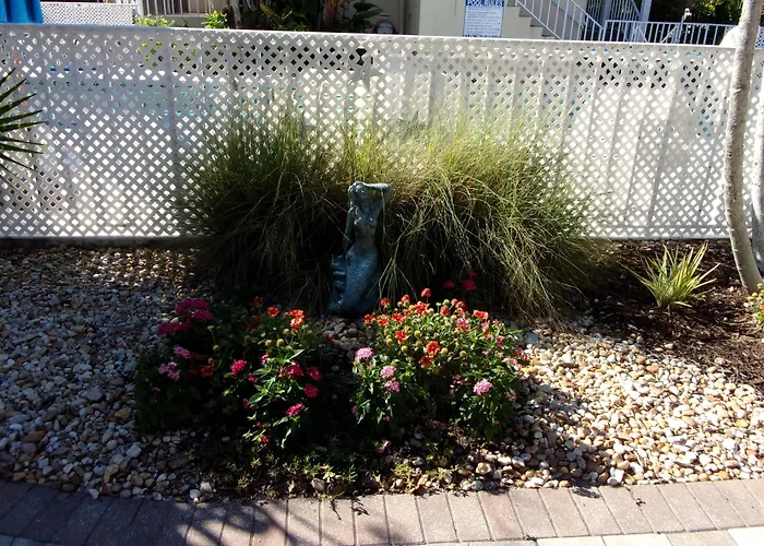 Hotels in Marco Island