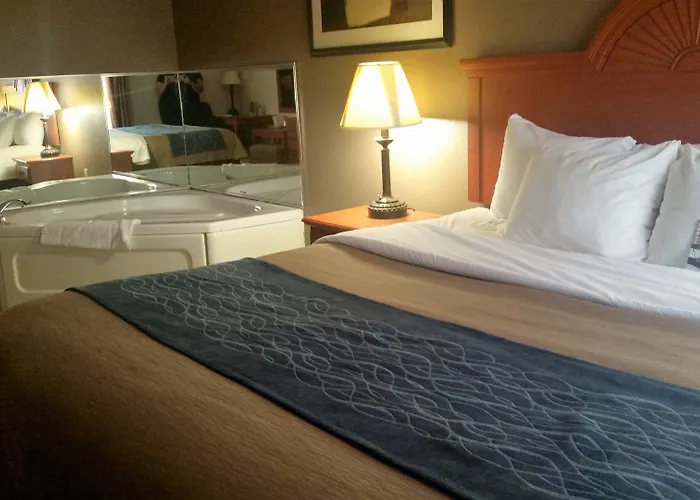 Comfort Inn Downtown - University Area Kalamazoo