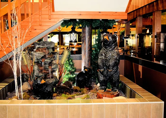 Park Rapids Hotels