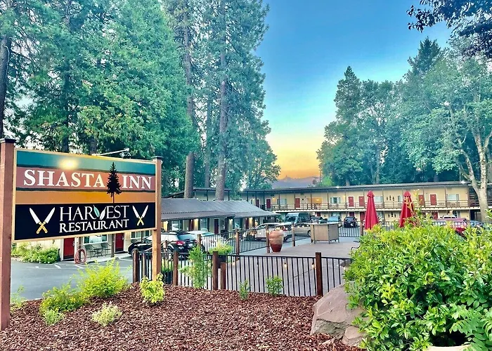 Shasta Inn
