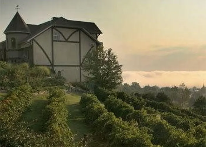 Hermann Hill (Adults Only)