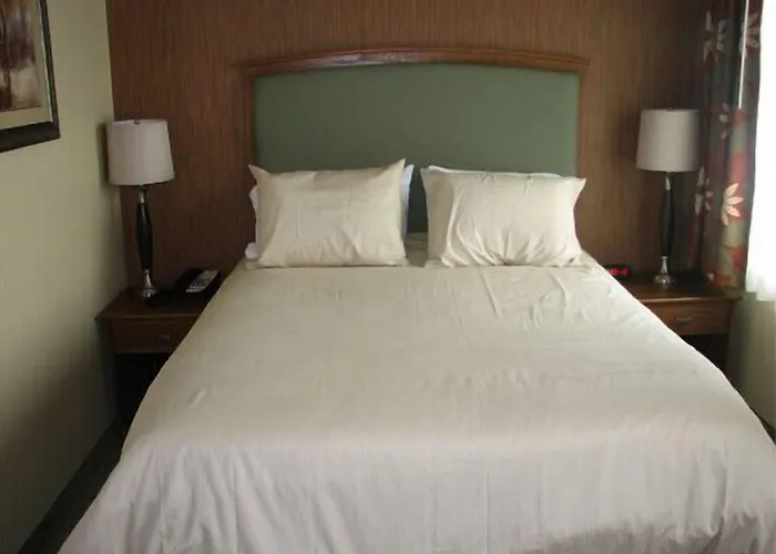 Winchester Hotels