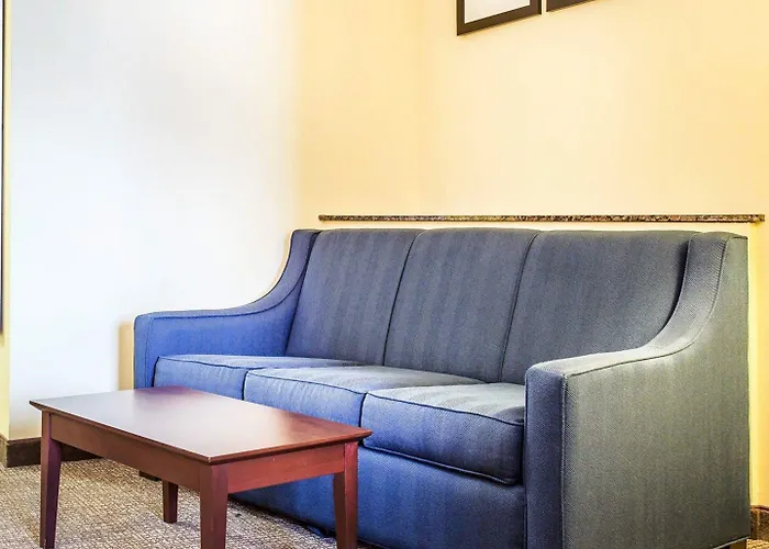 Comfort Suites Rock Hill Manchester Meadows Area