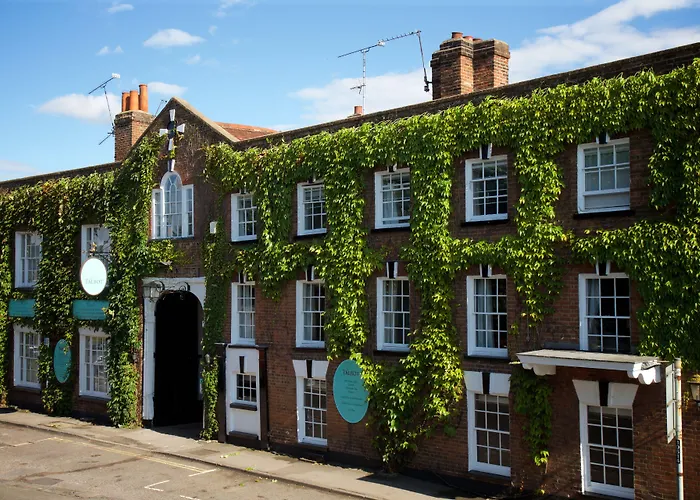 Hotels in Woking