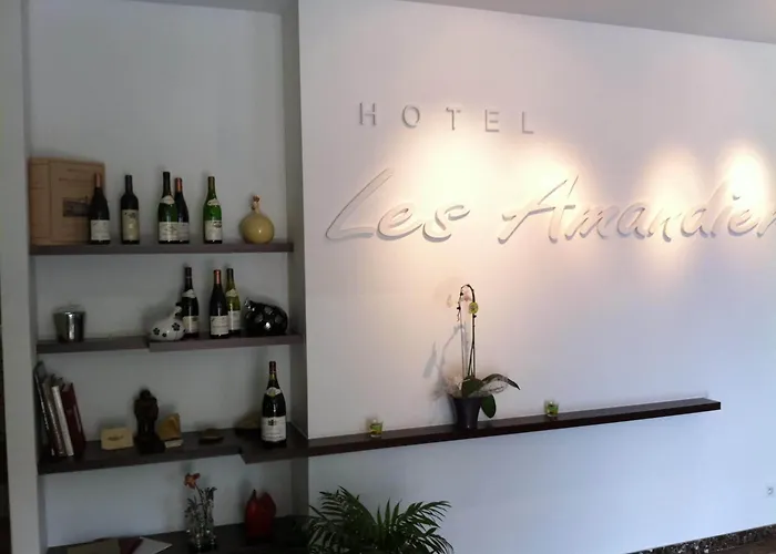 Hotel Les Amandiers Tournon-sur-Rhone