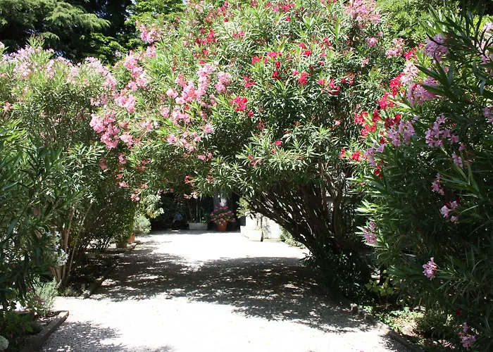 Hôtel le Chalet Fleuri Saint-Rémy-de-Provence