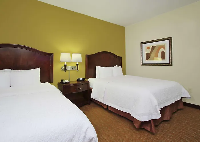 Hampton Inn & Suites Conroe I 45 North
