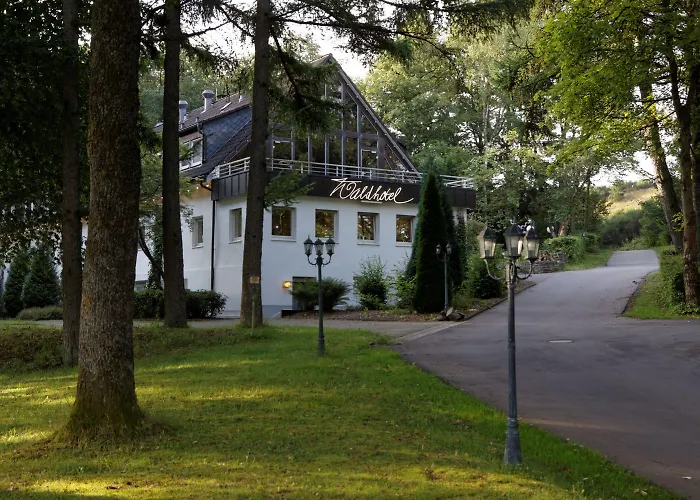 Waldhotel Wilhelmshöhe Freudenberg 
