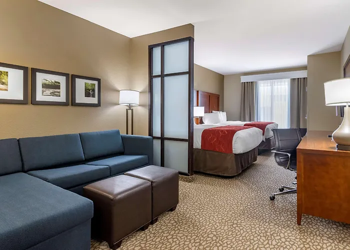 Comfort Suites Florence I-95