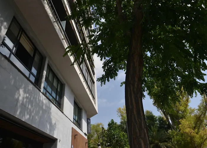 Md Modern Hotel - Jardines