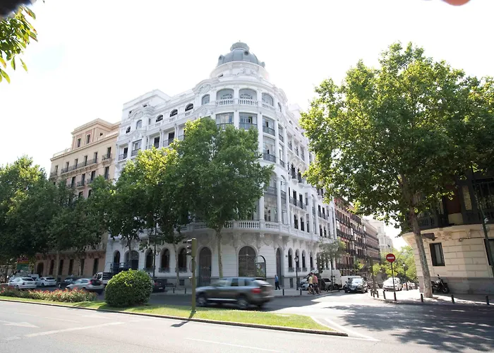 Petit Palace Savoy Alfonso XII Madri
