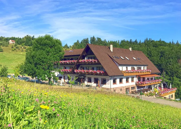Hotels in Oppenau