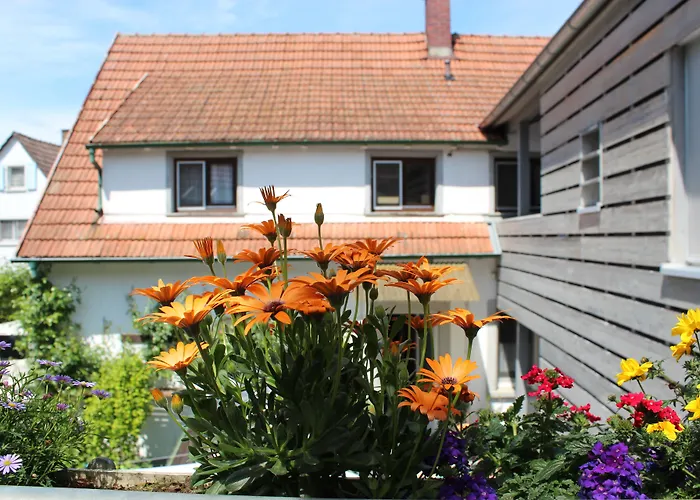 Hotel Sunnegaessle Rust