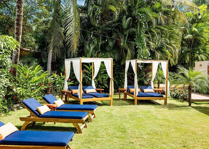 Hotels in Playa Negra