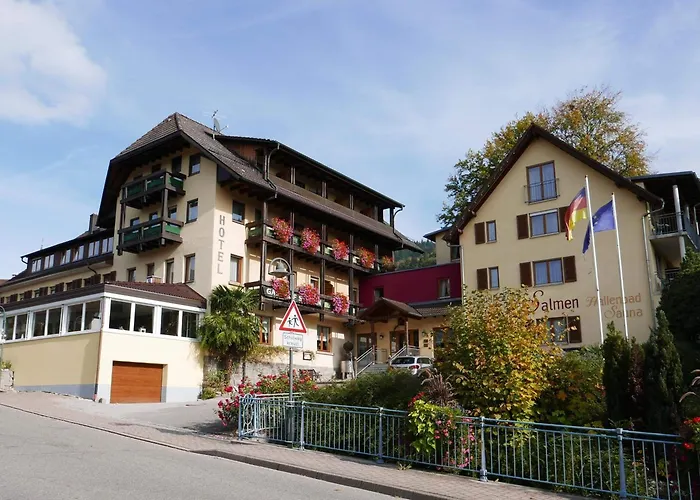 Landhotel Salmen Oberkirch 