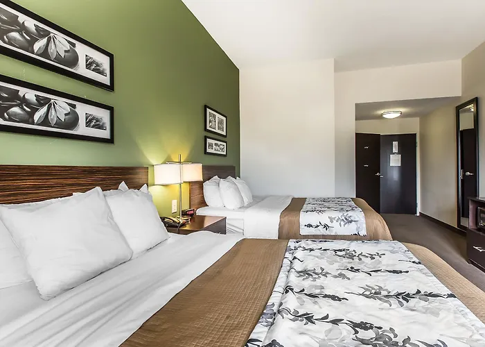 Mount Olive Hotels