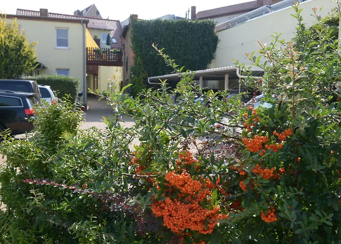 Hotel-Pension Mandy - Adults Only Senftenberg