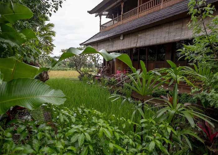 Bliss Ubud Spa Resort