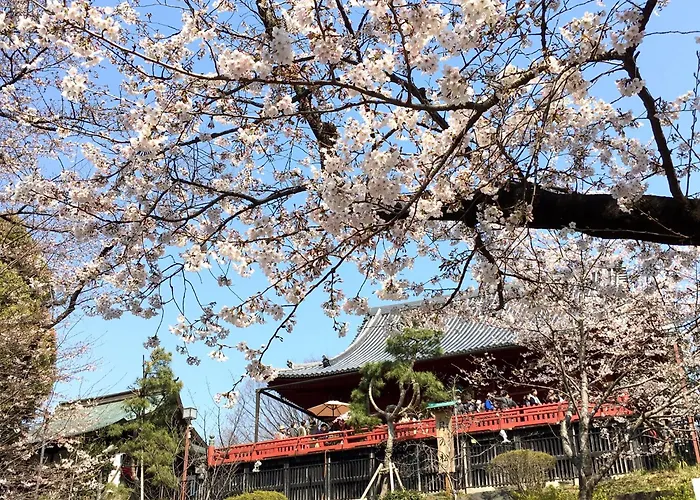 Art Hotel Nippori Lungwood Tokio