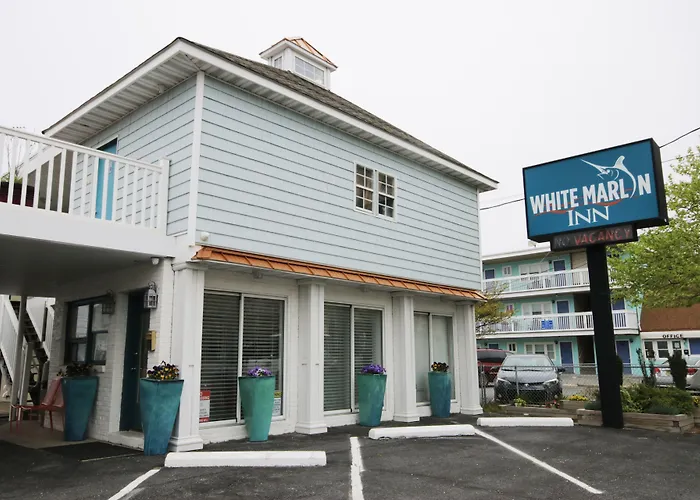 White Marlin Inn Ocean City