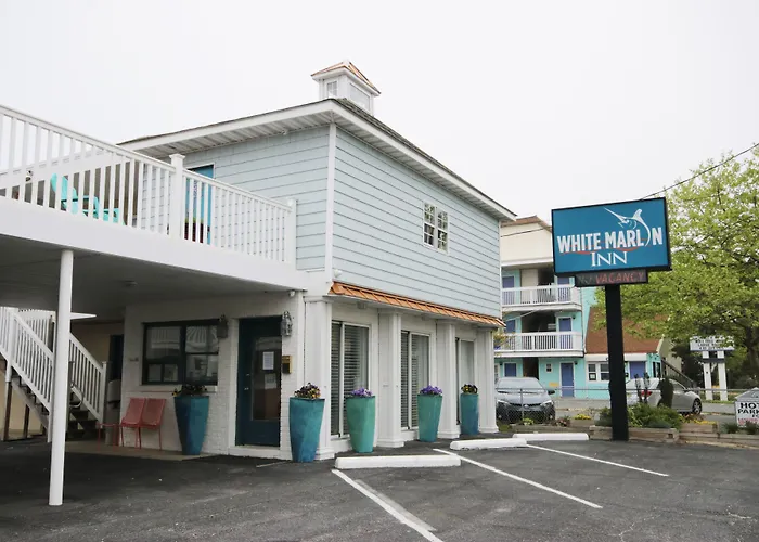 White Marlin Inn Ocean City