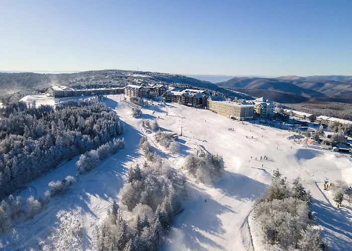 Inn At Snowshoe