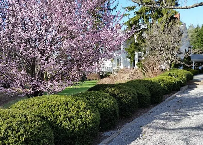 Albemarle Inn - Asheville