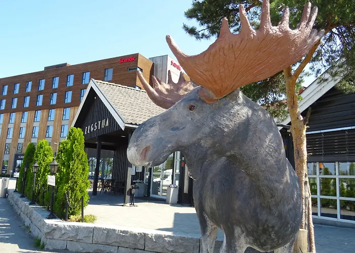 Hotels in Elverum