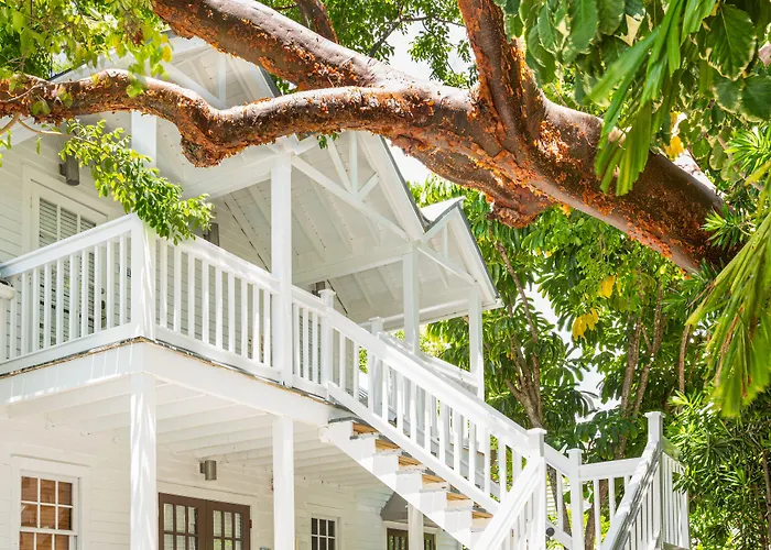 Nyah - Adult Exclusive Bed & Breakfast Key West