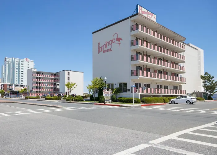 Flamingo Motel Ocean City