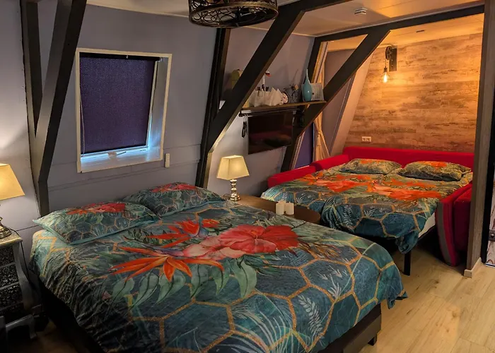 WitteZwaan Bed and Breakfast Harlingen