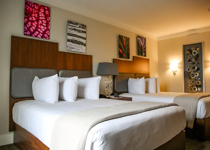 Lake City Hotels