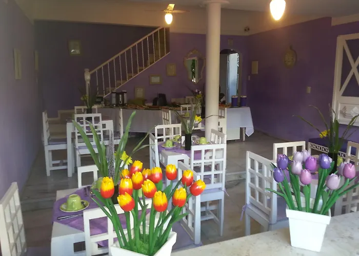 Hotel Pousada Papaya Verde