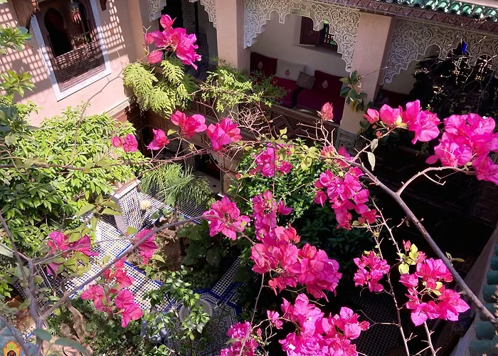 Riad Toyour- Riad Of Birds Fez