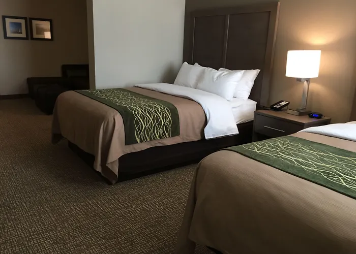 Snyder Hotels