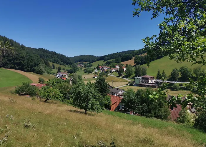 Hotel Grüner Baum mit Restaurant&Wellness Oberzent