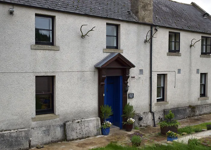 Mintlaw Hotels