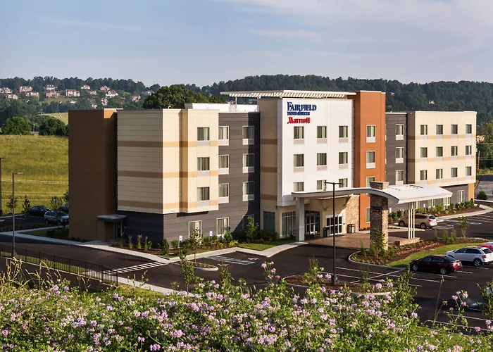 Fairfield Inn & Suites By Marriott Johnson City