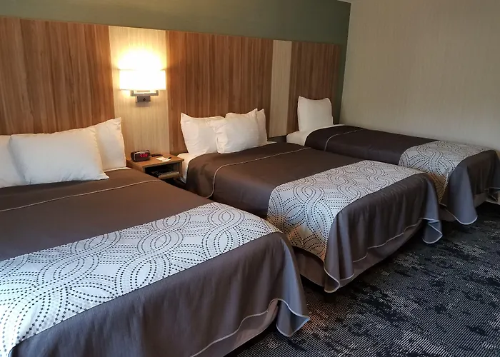 Aartpark Hotel Inn At Lewsiton Lewiston