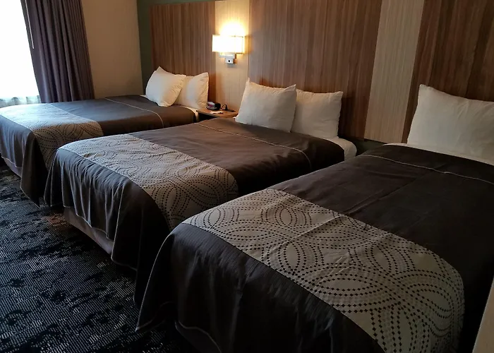 Aartpark Hotel Inn At Lewsiton Lewiston