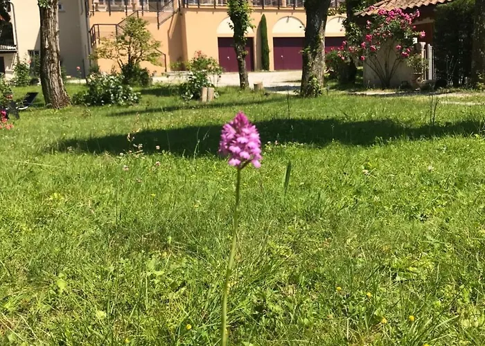 Le Castel Fleuri