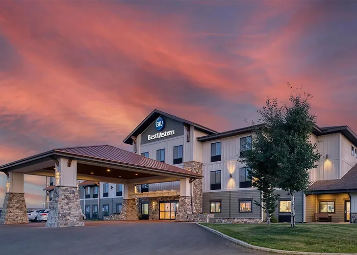 Shelby Hotels