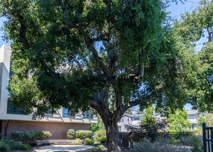Homewood Suites By Hilton Palo Alto