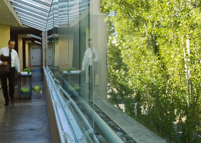 Acqua Hotel Mill Valley