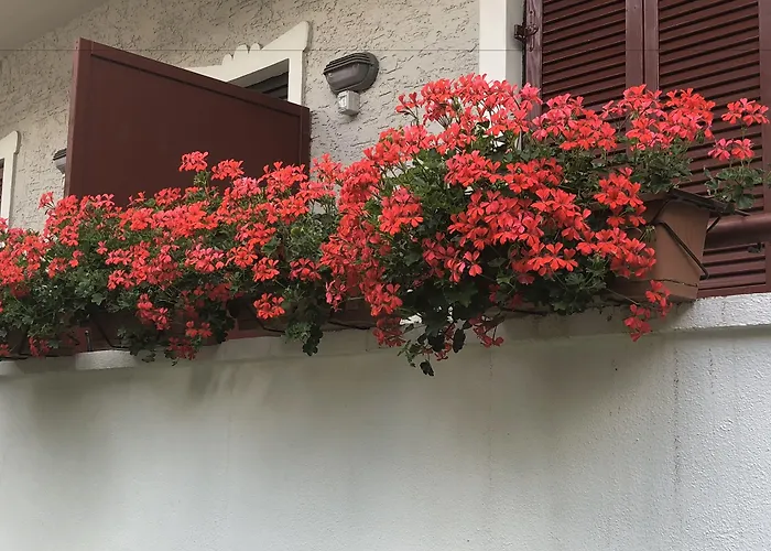 Garni Villa Betty
