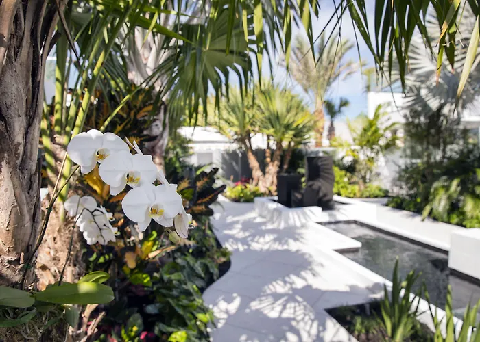 H2O Suites- Adults Only Key West