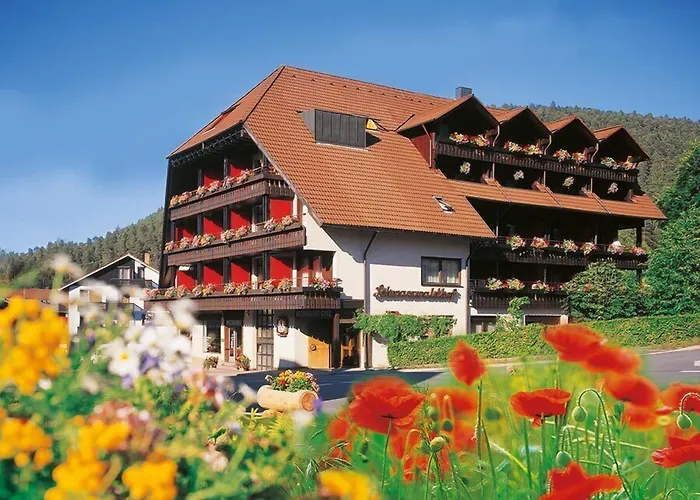 Hotel Schwarzwaldhof Enzklösterle