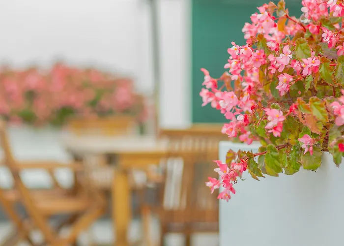 Comercial Boutique Guest House Ponta Delgada