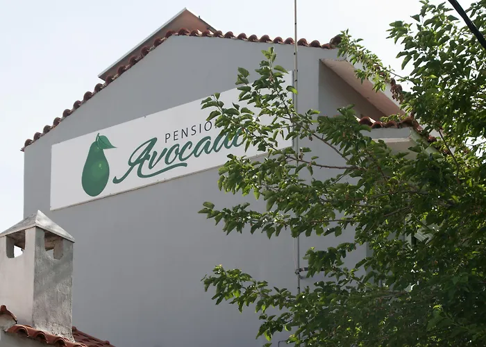 Avocado Skiathos